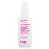 Evo Love Touch Shine Spray 100ml -Haircare Products Sale 21 2