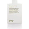 Evo Normal Persons Daily Conditioner 300ml