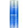 Joico Moisture Recovery Shampoo 300 ML