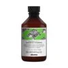 Davines NaturalTech Renewing Shampoo 250ml