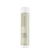 Paul Mitchell Clean Beauty Everyday Shampoo 250 ML -Haircare Products Sale clean beauty everyday shampoo 8.5 oz 1